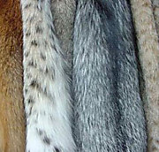 чистка пуха